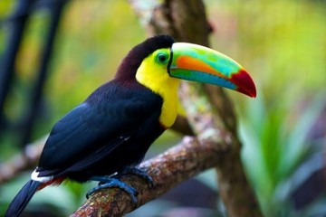 Image niveau 119 du jeu 94%