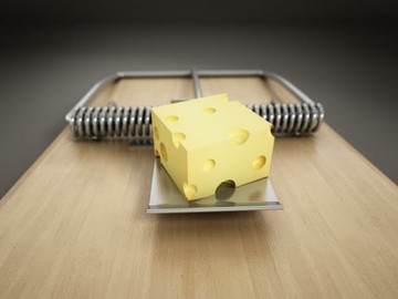 Image niveau 122 du jeu 94%