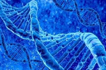 Image niveau 144 du jeu 94%