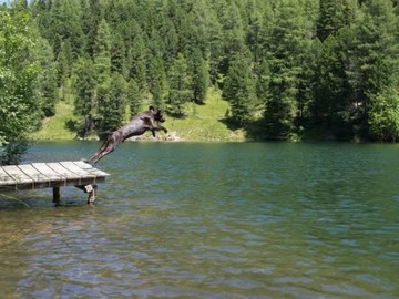 Image niveau 149 du jeu 94%