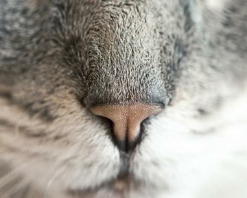 Image niveau 18 du jeu 94%