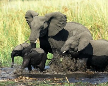 Image niveau 22 du jeu 94%