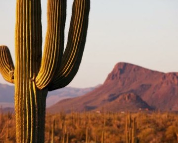 Image niveau 31 du jeu 94%