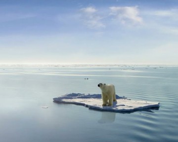 Image niveau 34 du jeu 94%