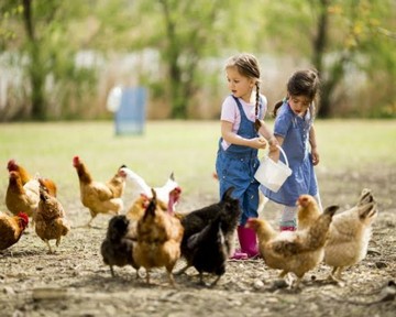 Image niveau 65 du jeu 94%