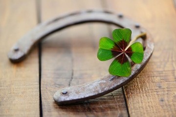 Image niveau 77 du jeu 94%