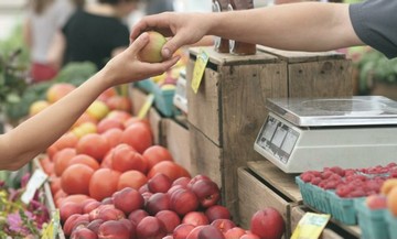 Image du thème Automne (2020) du jeu 94%