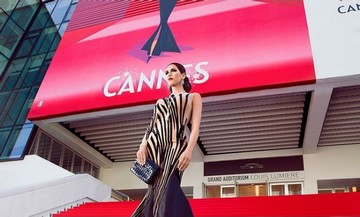 Image du thème Festival de Cannes 2019 du jeu 94%