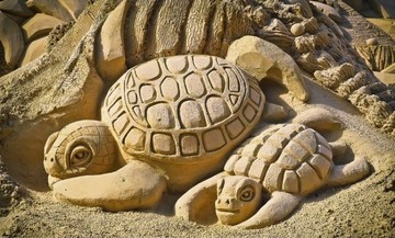 Image du thème Journée Mondiale de la Tortue du jeu 94%