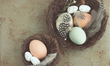 Image du thème Pâques du jeu 94%