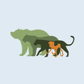 Le livre de la jungle - Guess The Movie